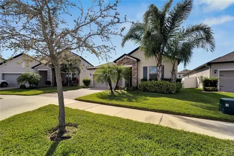 13334 Wildflower Meadow Drive Riverview FL 33579