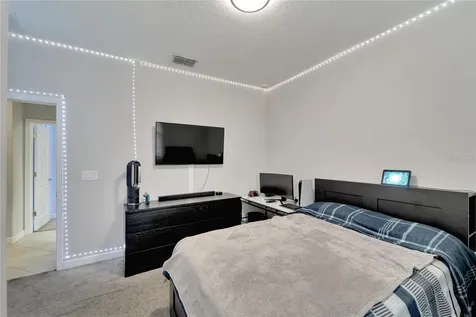 13334 Wildflower Meadow Drive Riverview FL 33579