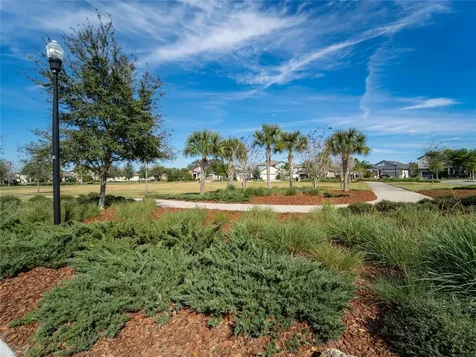 13334 Wildflower Meadow Drive Riverview FL 33579