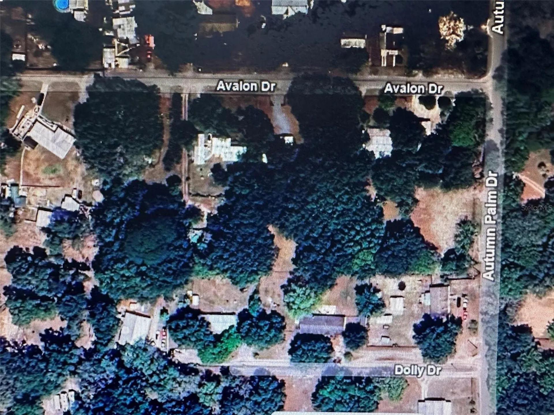 Zephyrhills FL 33541