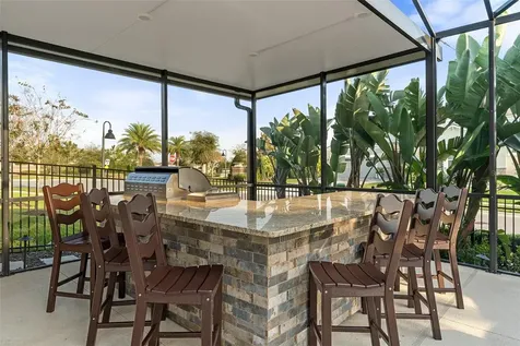 16406 Olive Hill Drive Winter Garden FL 34787