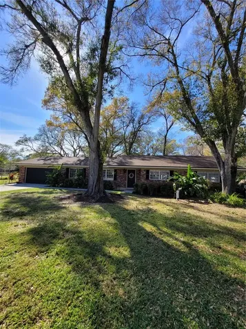 7208 Pat Boulevard Tampa FL 33615