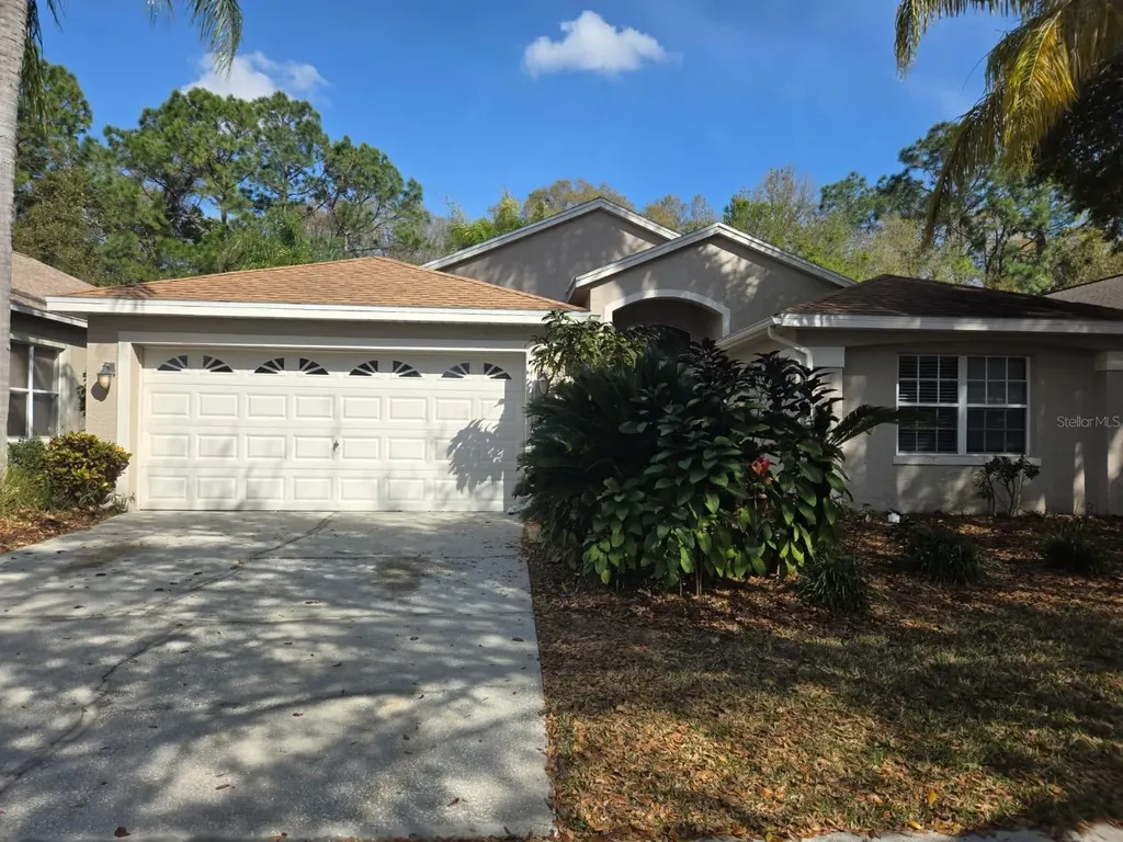 11807 Derbyshire Drive Tampa FL 33626