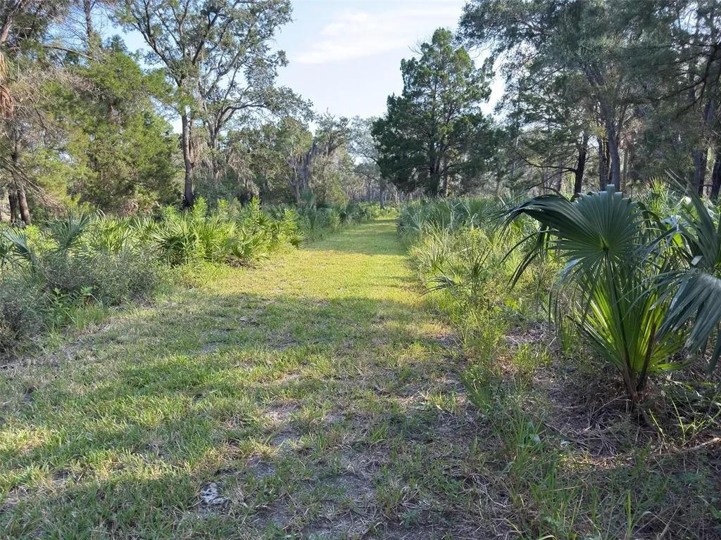 11684 W Sunnybrook Court Crystal River FL 34429
