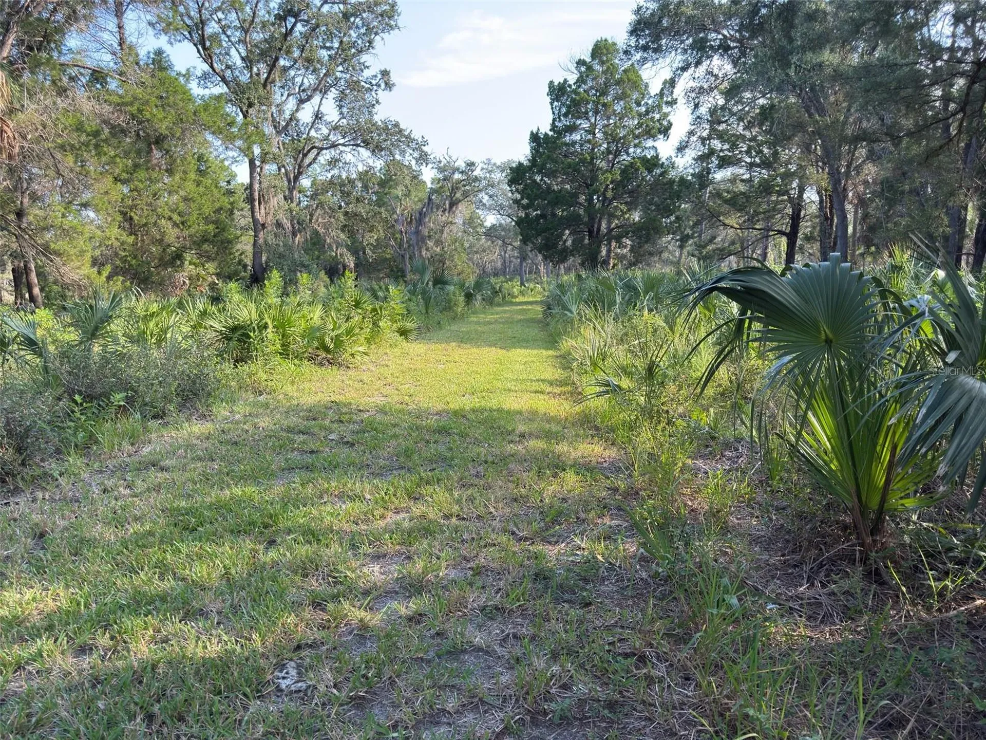 11684 W Sunnybrook Court Crystal River FL 34429