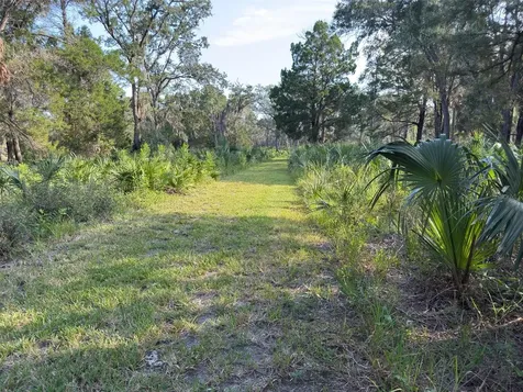 11684 W Sunnybrook Court Crystal River FL 34429