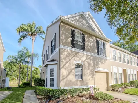 10107 Farmingdale Place Tampa FL 33624