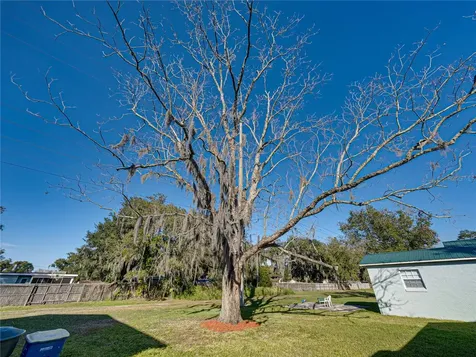 680 Dorothy Street Bartow FL 33830