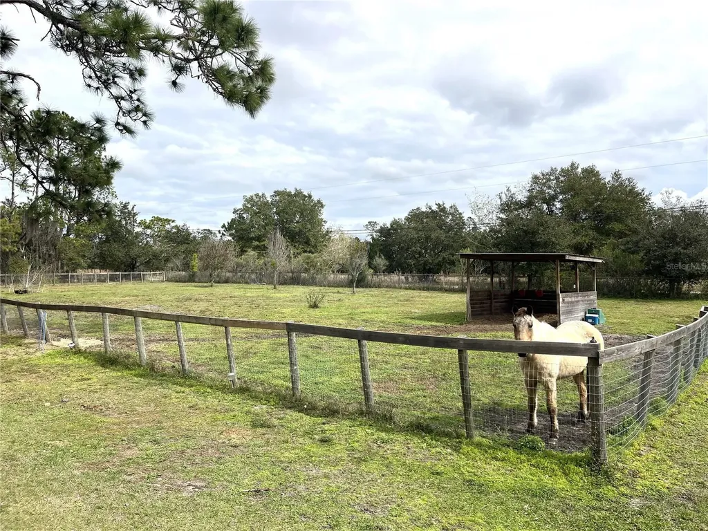 8529 Kenton Road Wesley Chapel FL 33545