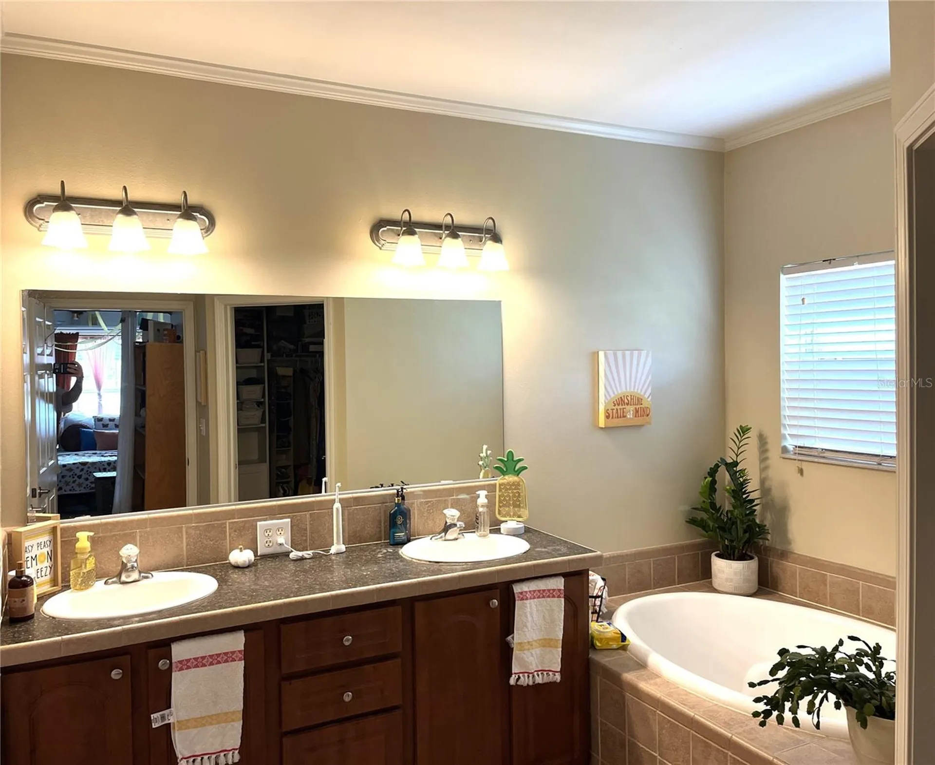 8529 Kenton Road Wesley Chapel FL 33545