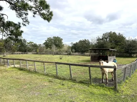 8529 Kenton Road Wesley Chapel FL 33545