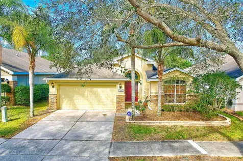 422 Down Pine Drive Seffner FL 33584