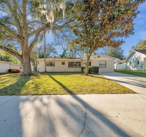 12412 Noreast Lake Drive Tampa FL 33612