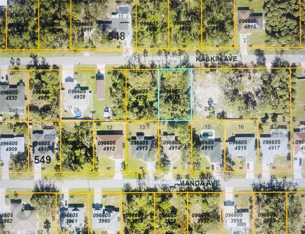 0966054925 Kaskin Avenue North Port FL 34286