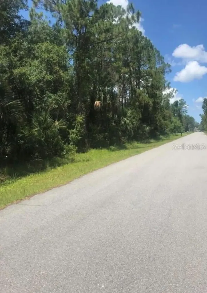0966054925 Kaskin Avenue North Port FL 34286
