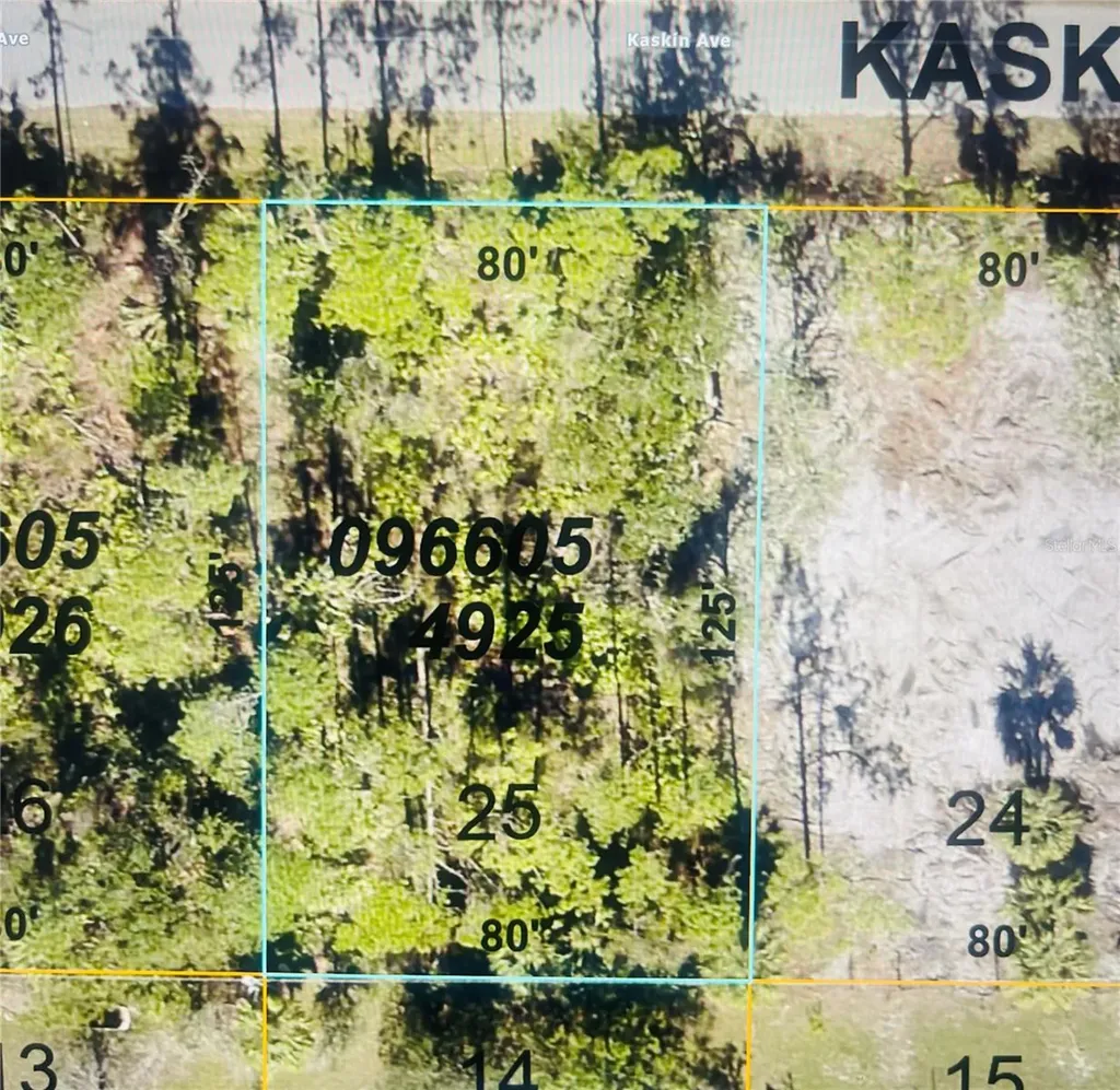 0966054925 Kaskin Avenue North Port FL 34286
