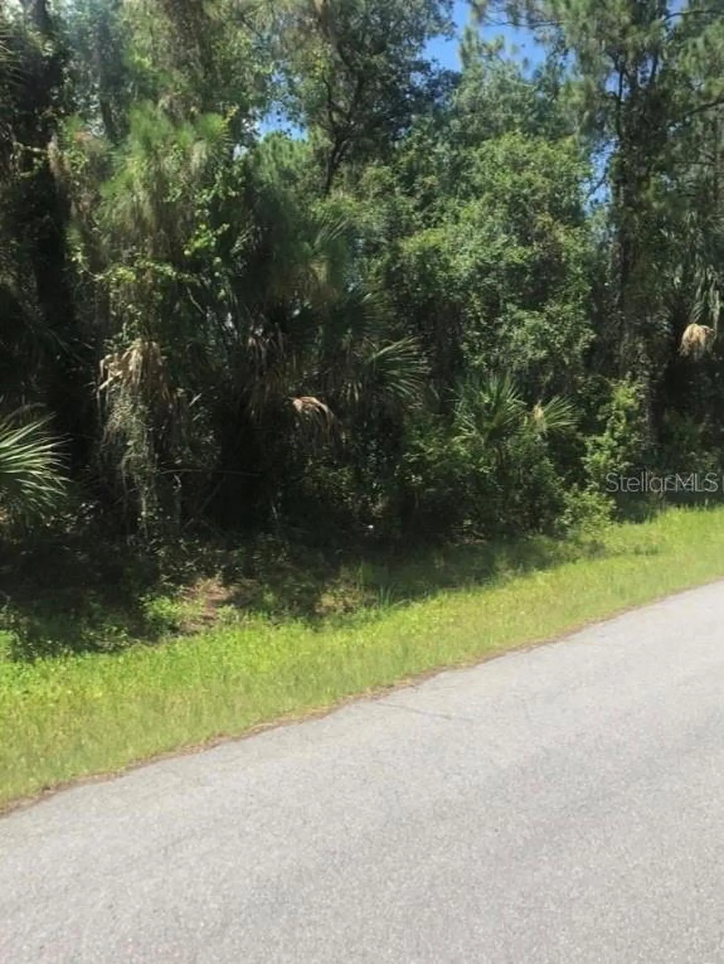 0966054925 Kaskin Avenue North Port FL 34286