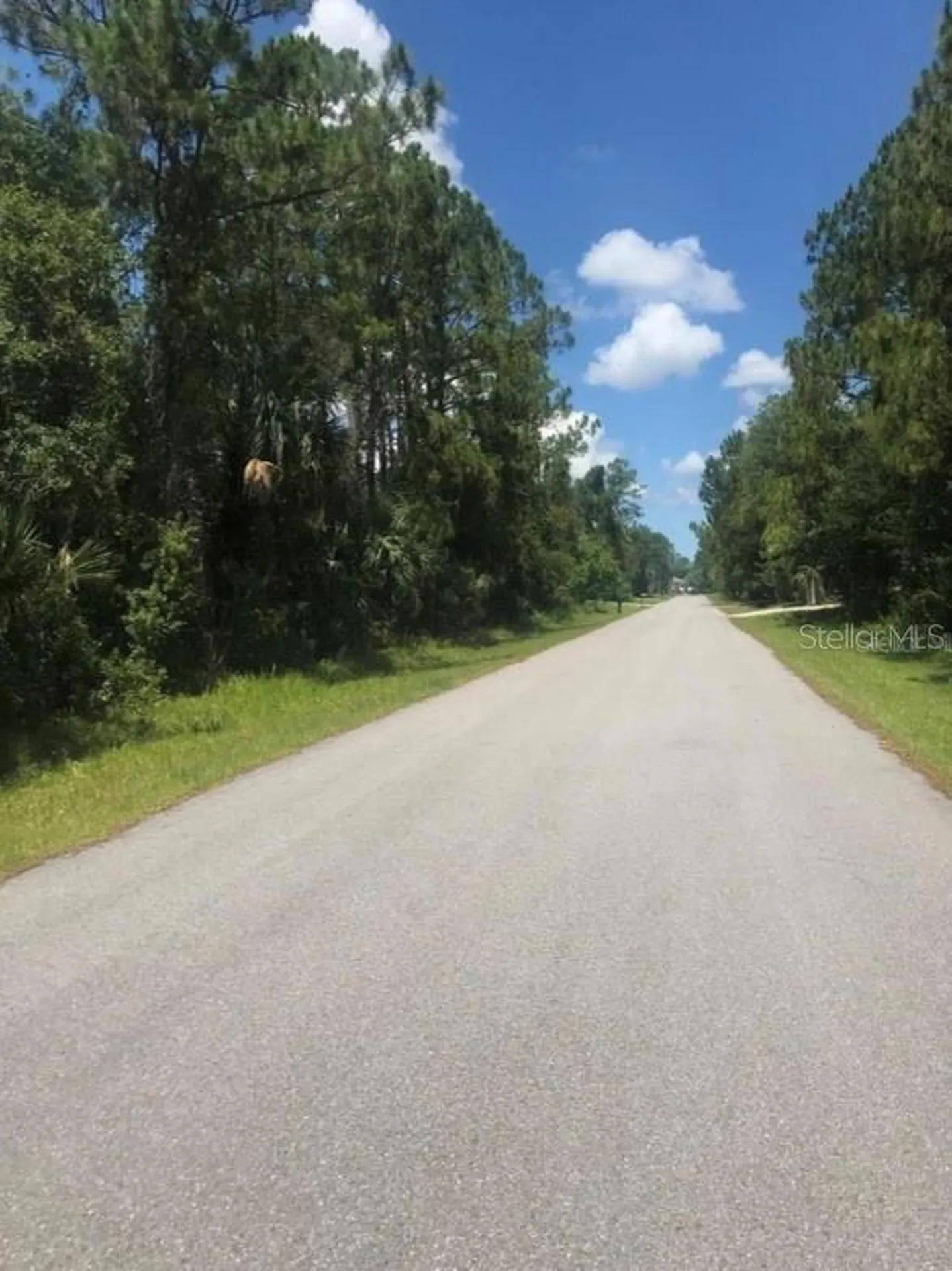 0966054925 Kaskin Avenue North Port FL 34286