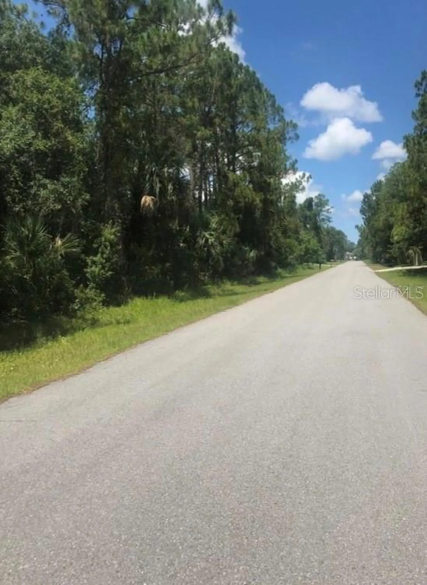 0966054925 Kaskin Avenue North Port FL 34286