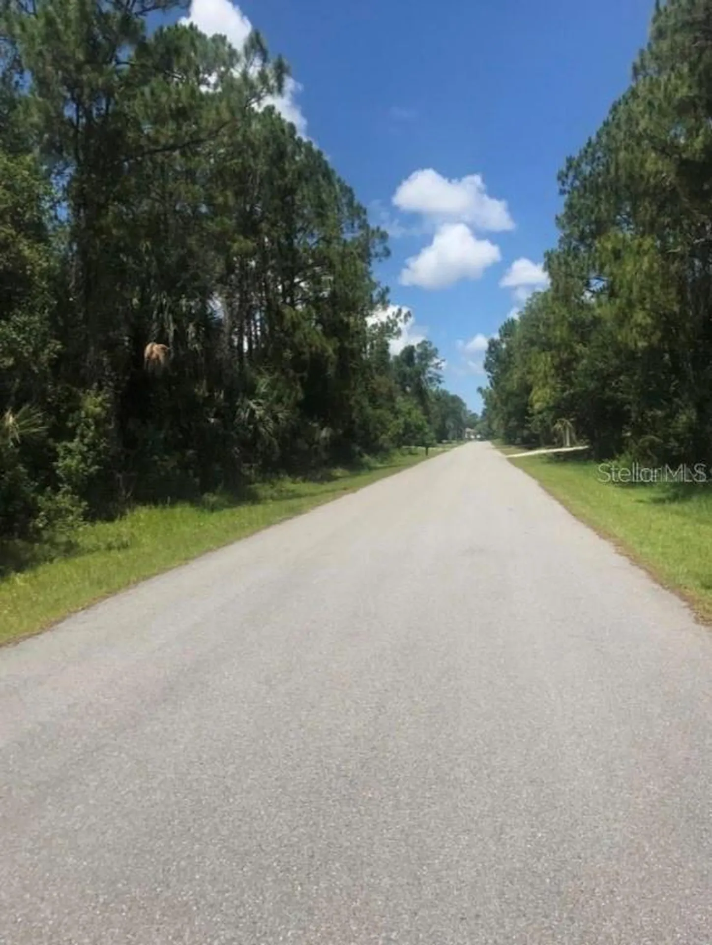 0966054925 Kaskin Avenue North Port FL 34286