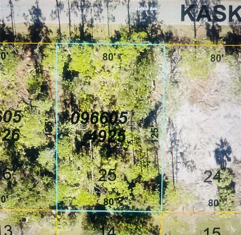 0966054925 Kaskin Avenue North Port FL 34286