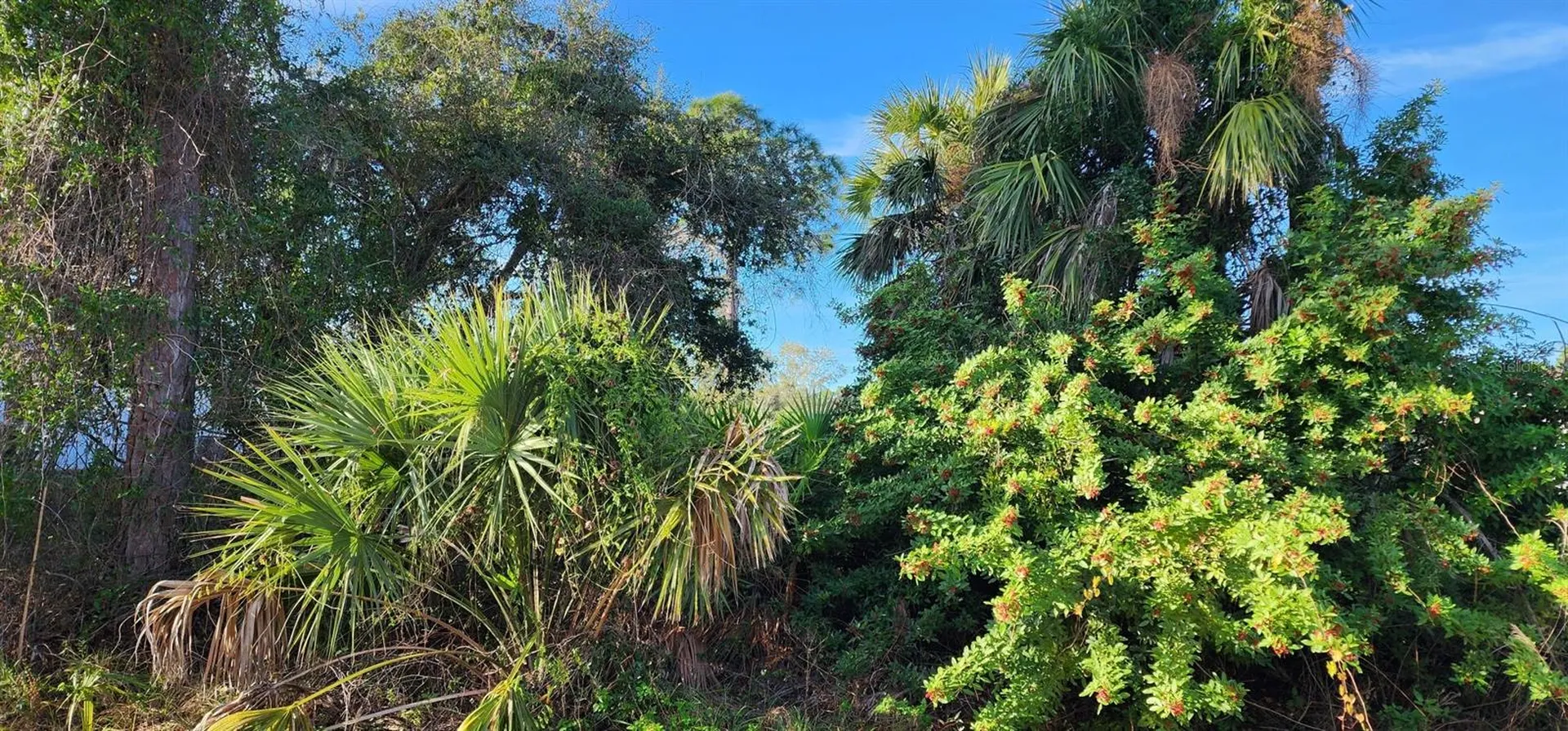 Hurley Avenue North Port FL 34288