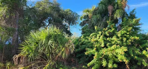 Hurley Avenue North Port FL 34288