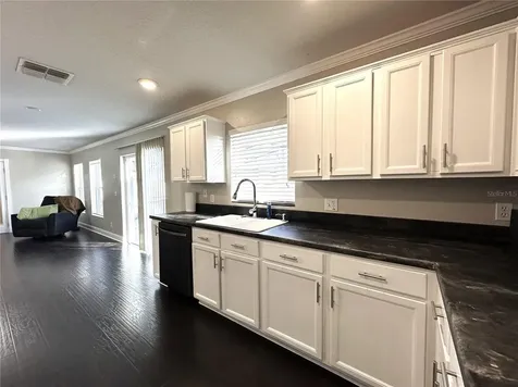 2578 Martins Run Tavares FL 32778
