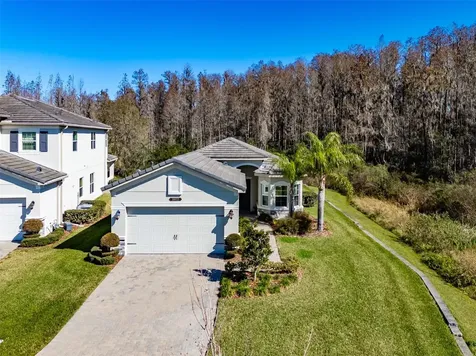 31022 Lindentree Drive Wesley Chapel FL 33543