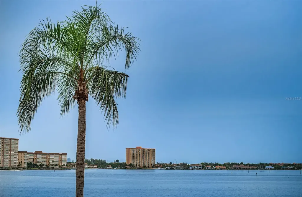 6322 Palma Del Mar Boulevard S St Petersburg FL 33715