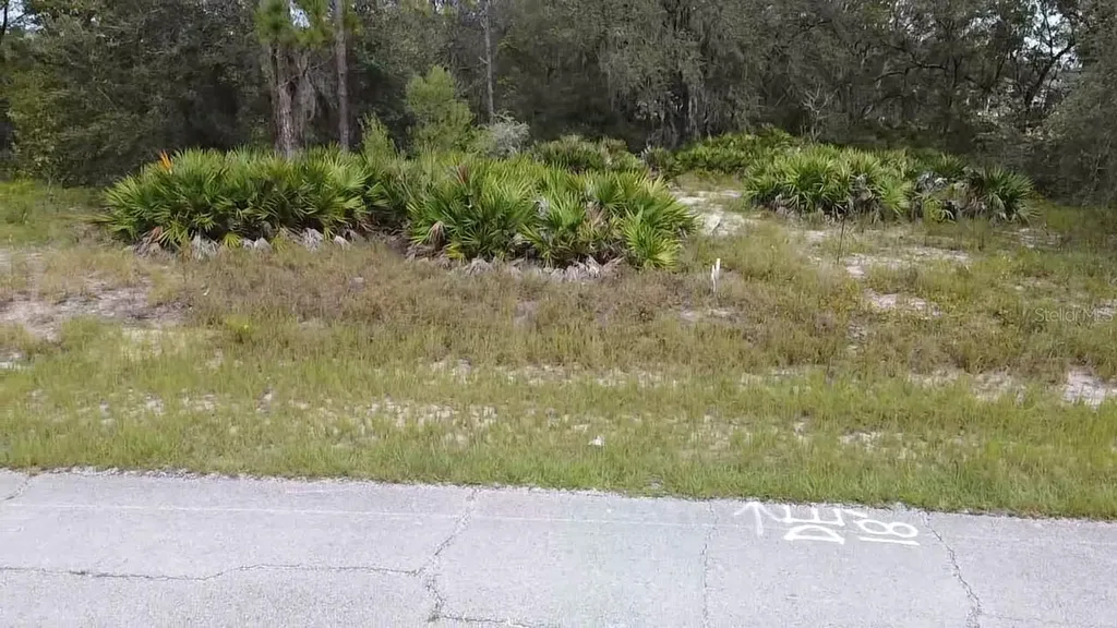 1405 Sarasota Court Poinciana FL 34759