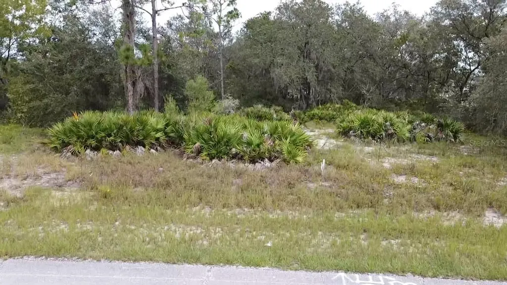 1405 Sarasota Court Poinciana FL 34759