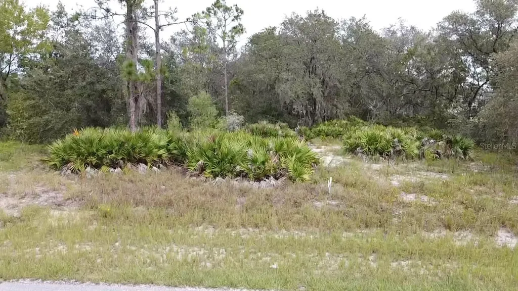 1405 Sarasota Court Poinciana FL 34759