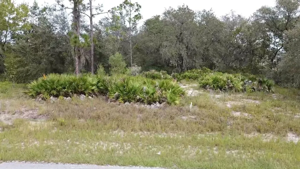 1405 Sarasota Court Poinciana FL 34759