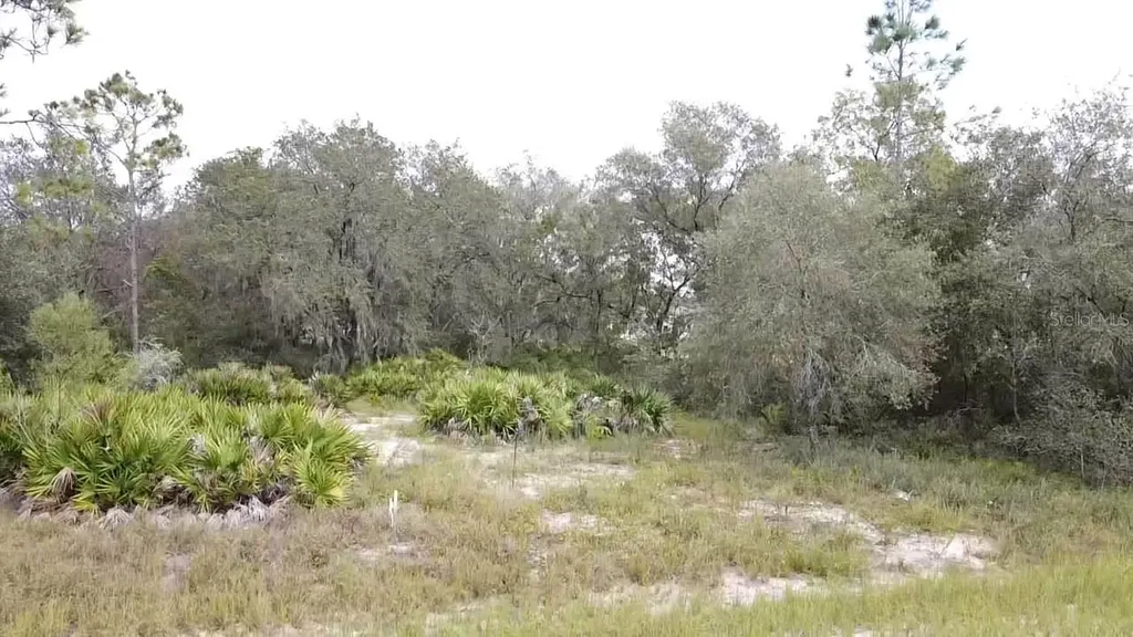 1405 Sarasota Court Poinciana FL 34759