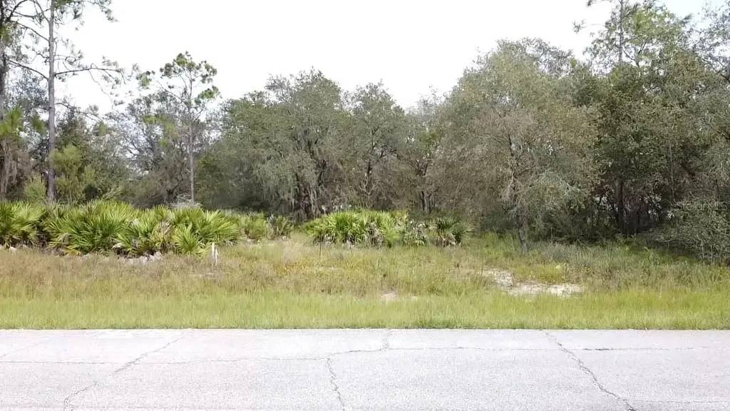 1405 Sarasota Court Poinciana FL 34759
