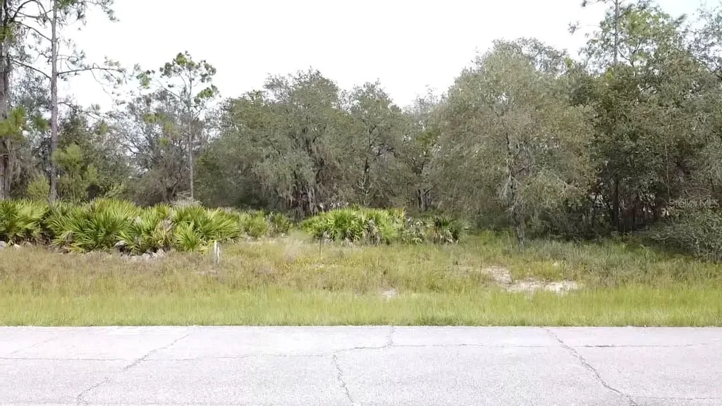 1405 Sarasota Court Poinciana FL 34759