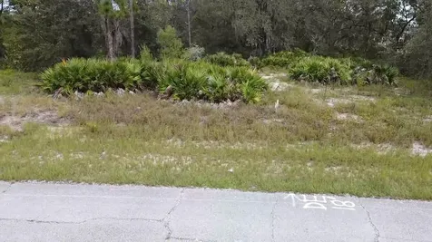 1405 Sarasota Court Poinciana FL 34759