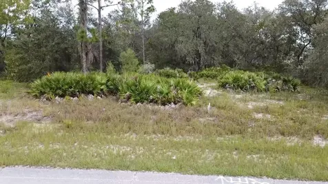 1405 Sarasota Court Poinciana FL 34759