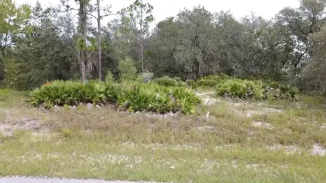 1405 Sarasota Court Poinciana FL 34759
