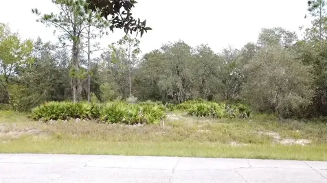 1405 Sarasota Court Poinciana FL 34759