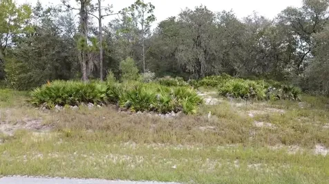 1405 Sarasota Court Poinciana FL 34759