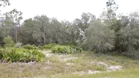 1405 Sarasota Court Poinciana FL 34759