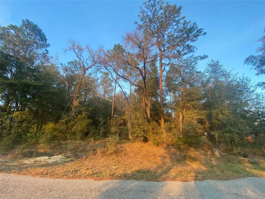 Lot 28 SW 206 Circle Dunnellon FL 34431