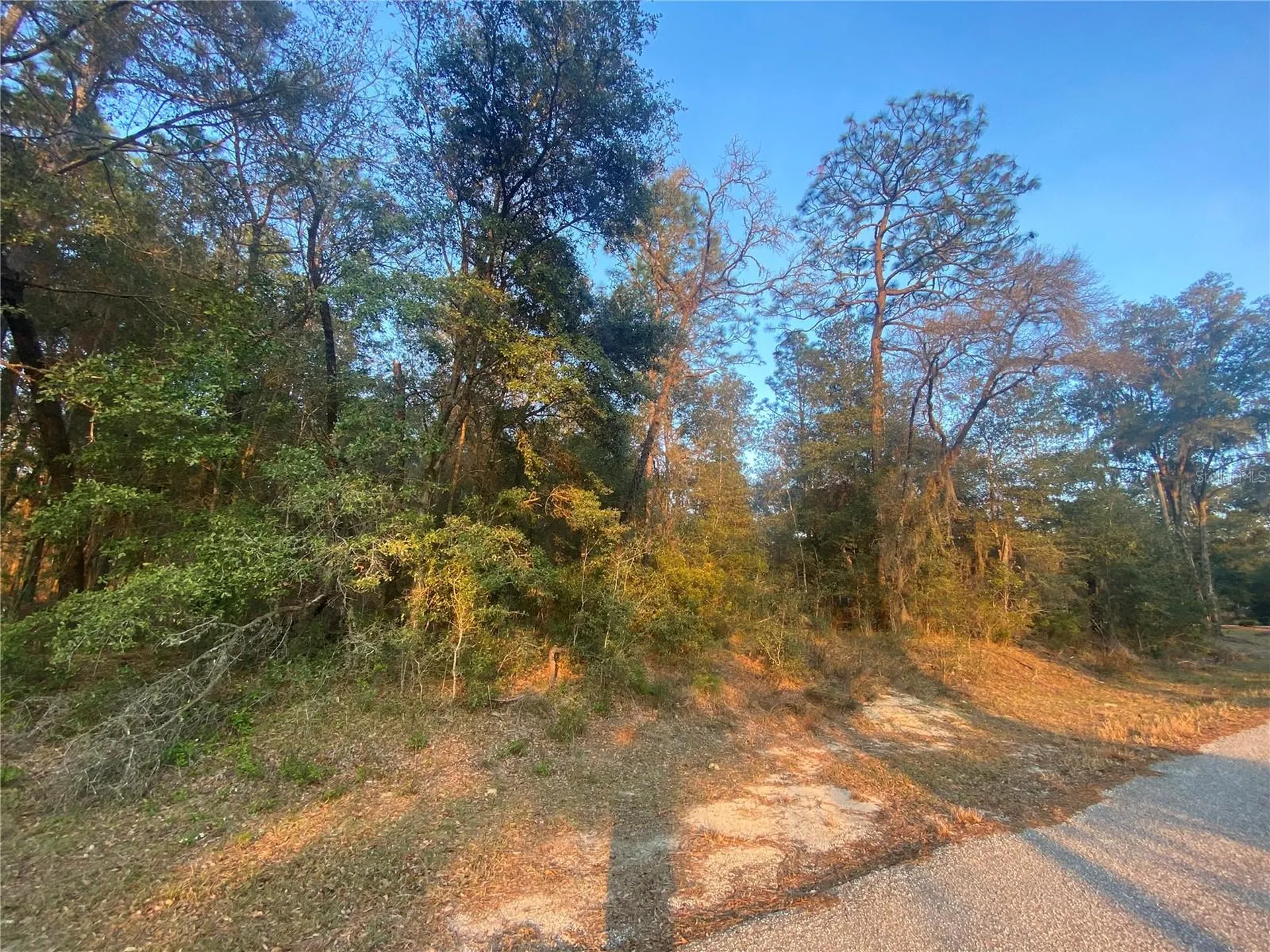 Lot 28 SW 206 Circle Dunnellon FL 34431