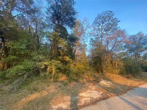 Lot 28 SW 206 Circle Dunnellon FL 34431