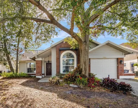 8608 Thimbleberry Lane Tampa FL 33635