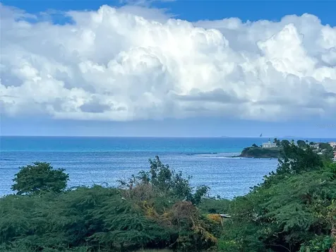 53 Calle Canon Vieques PR 00765