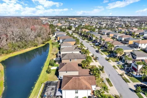 1643 Ludington Avenue Wesley Chapel FL 33543