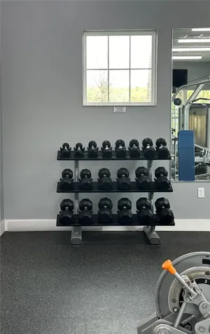 1643 Ludington Avenue Wesley Chapel FL 33543